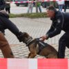 Zoll lädt zu Informationstag nach Hof ein