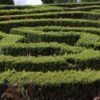 Kind mit Polizeihubschrauber aus Labyrinth gerette